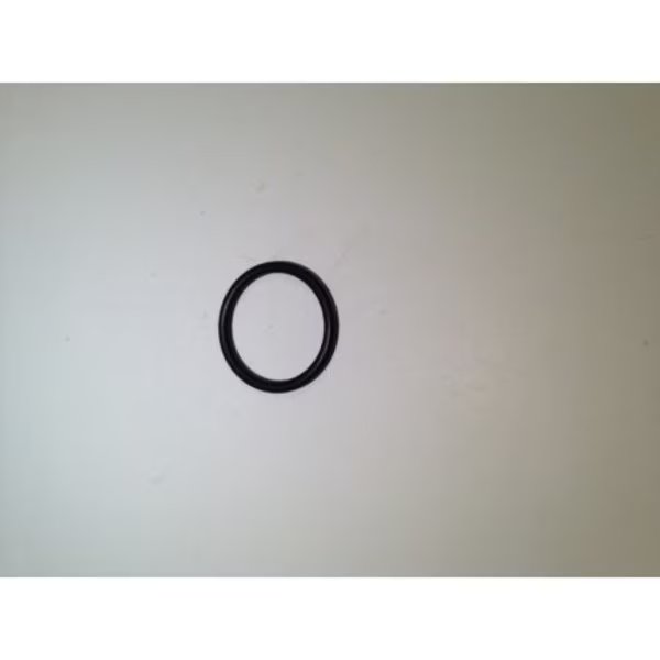 O-Ring Dipstick, Kohler, Mfr#: 25 153 02-S